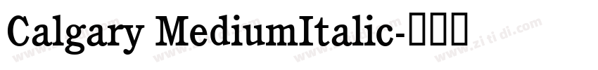 Calgary MediumItalic字体转换
